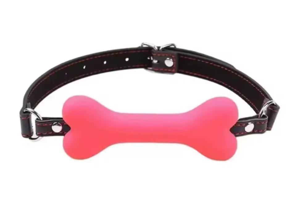 A pink bony for a cute doggy 
