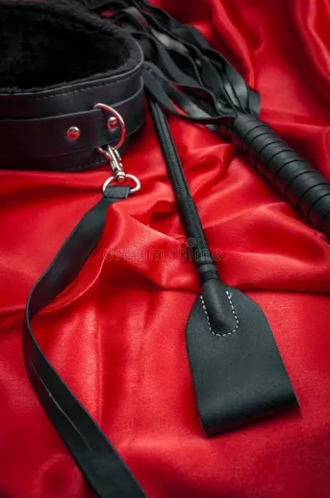 Neue Studio-Accessoires