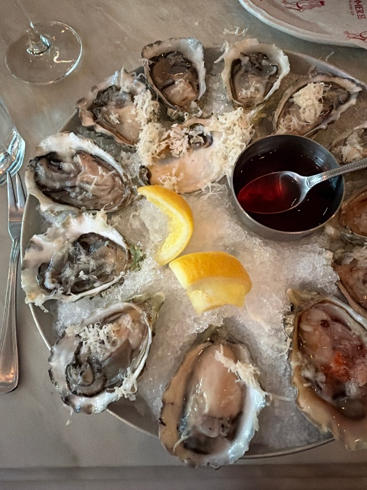 Oysters 🦪 