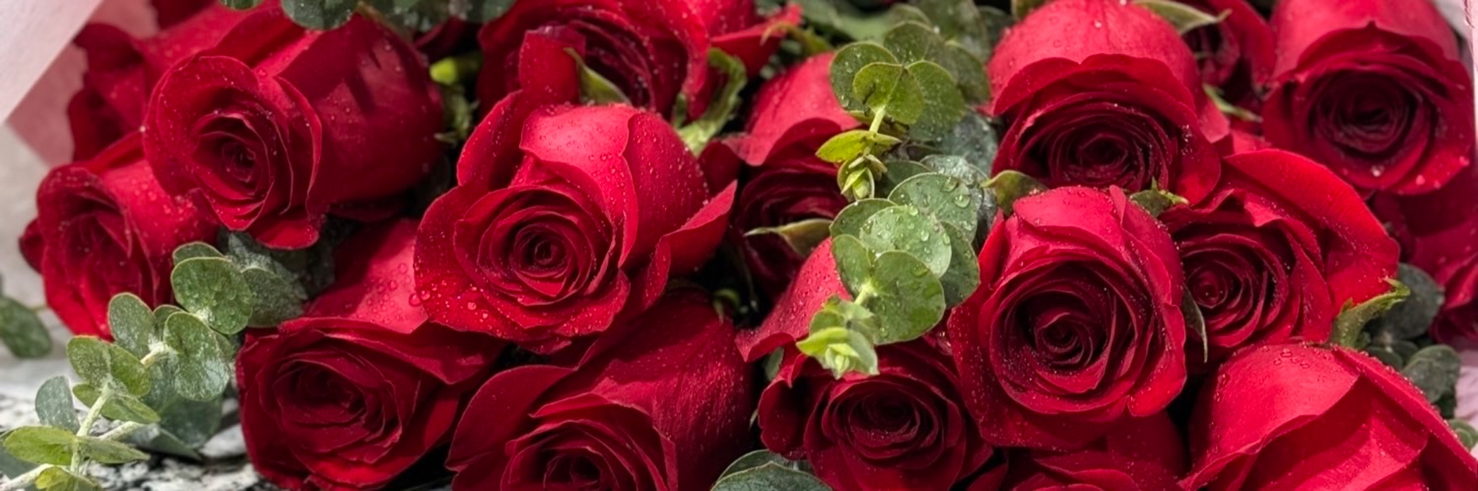 Roses 🥀 