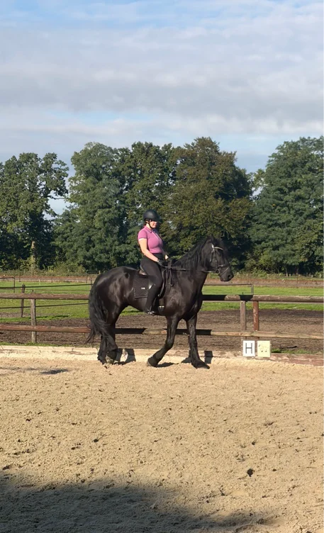 Horse riding class