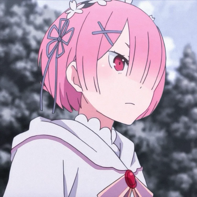 Amazon.com : ram funko pop