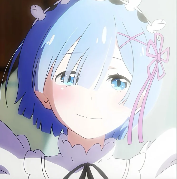 Amazon.com : rem funko pop