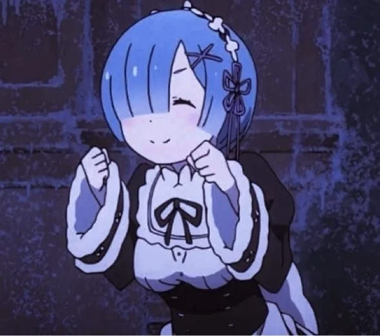 Amazon.com: Rem Figure Re Zero