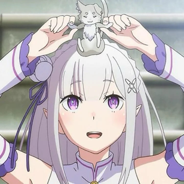 Amazon.com : emilia funko pop