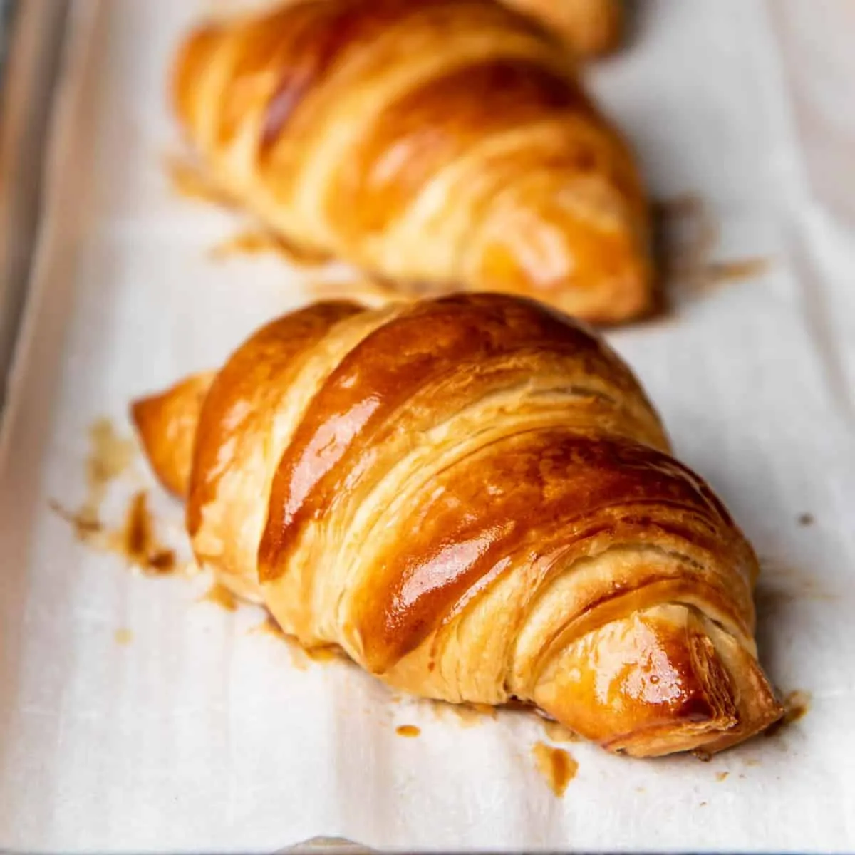 Fench Croissant