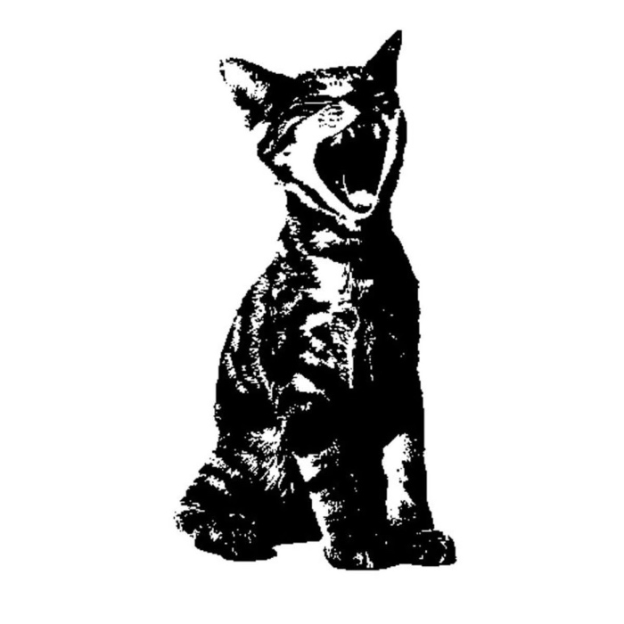 meow