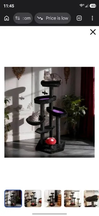 Cat Tree for my familiar 