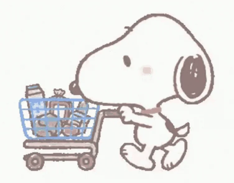 Mini shopping spree