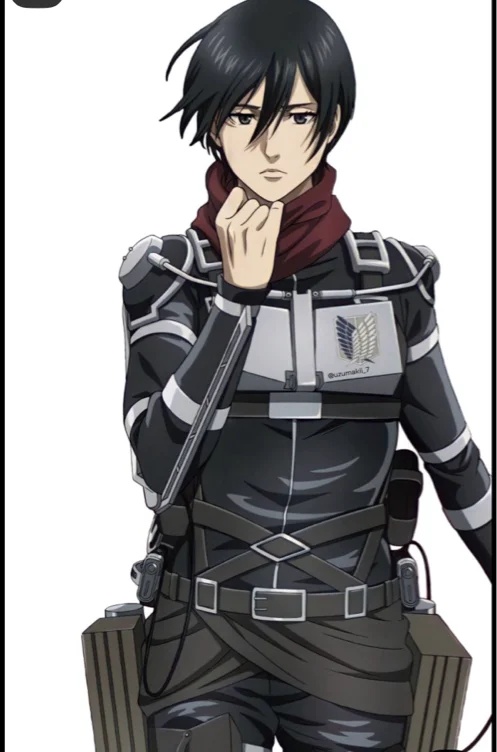 Mikasa patrocinio 