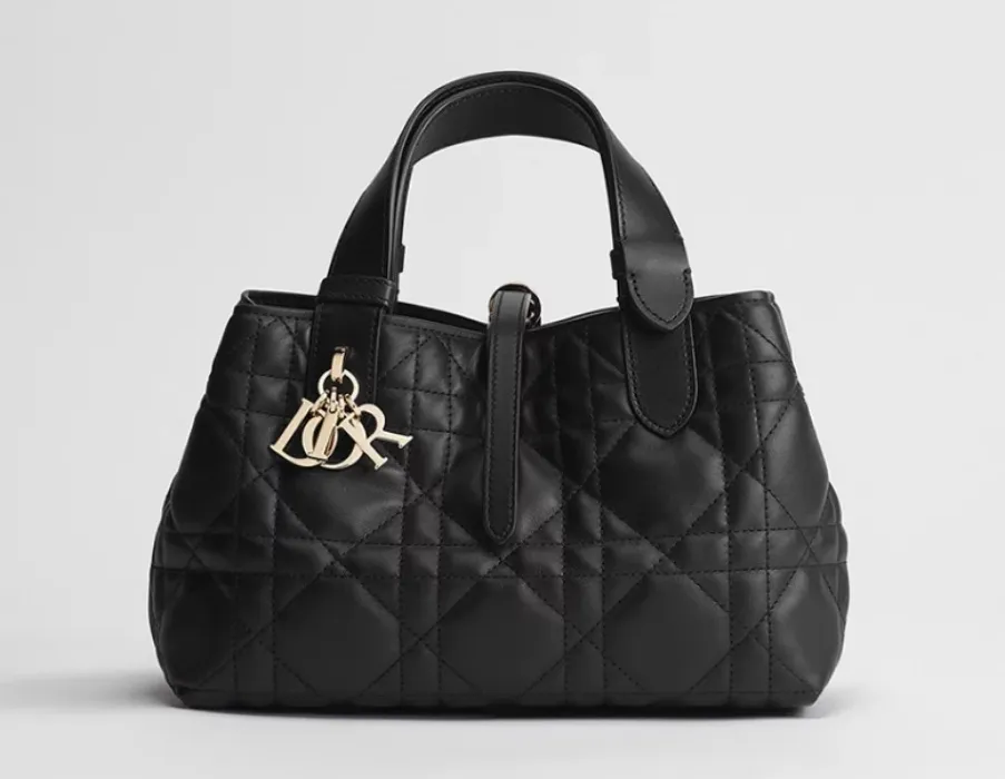 Small Dior Toujours Bag