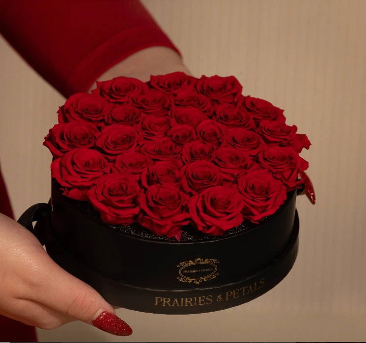 Prairies & Petals 🌹 Petite Palais Collection