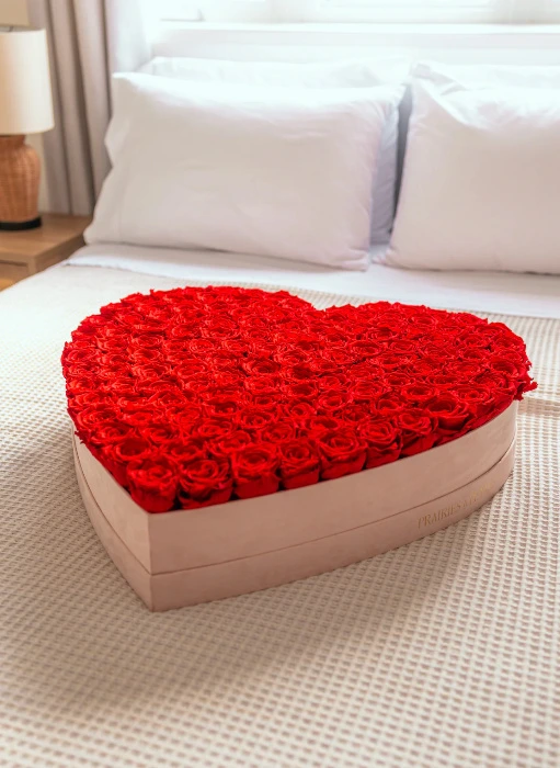 Prairies & Petals 🌹 XL Kardia