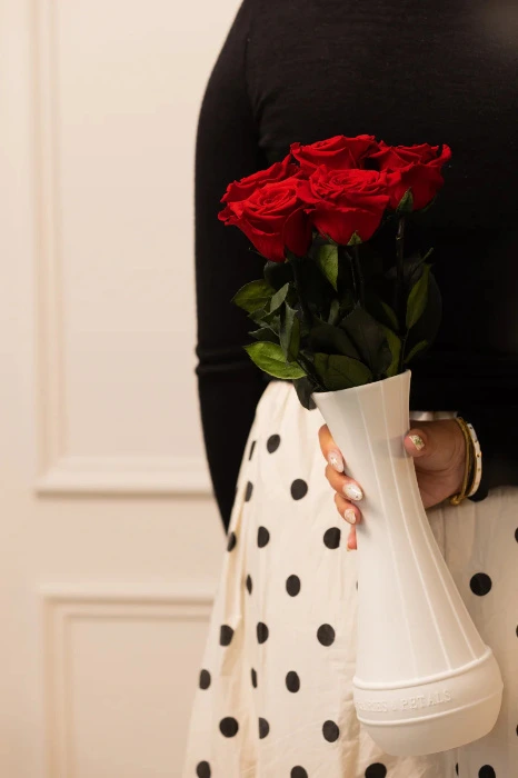 Prairies & Petals 🌹 Satya Collection 6 Roses