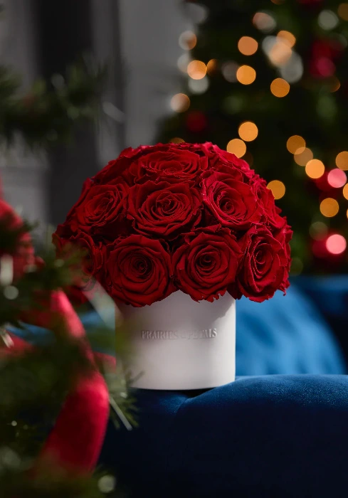 Prairies & Petals 🌹 Splendor Collection