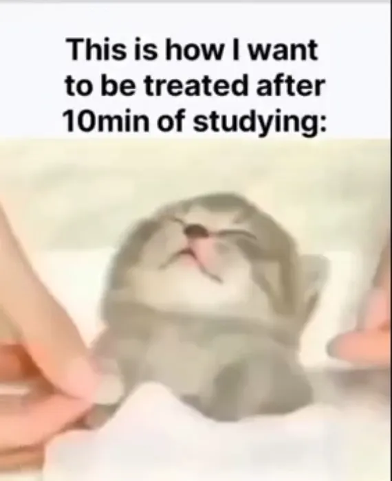 treatment ;-;
