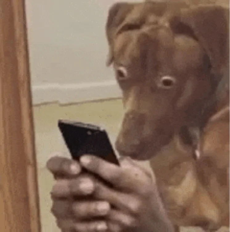 Phone Bill 