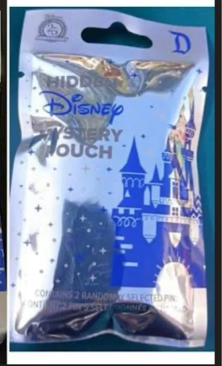 Hidden Mickey bag