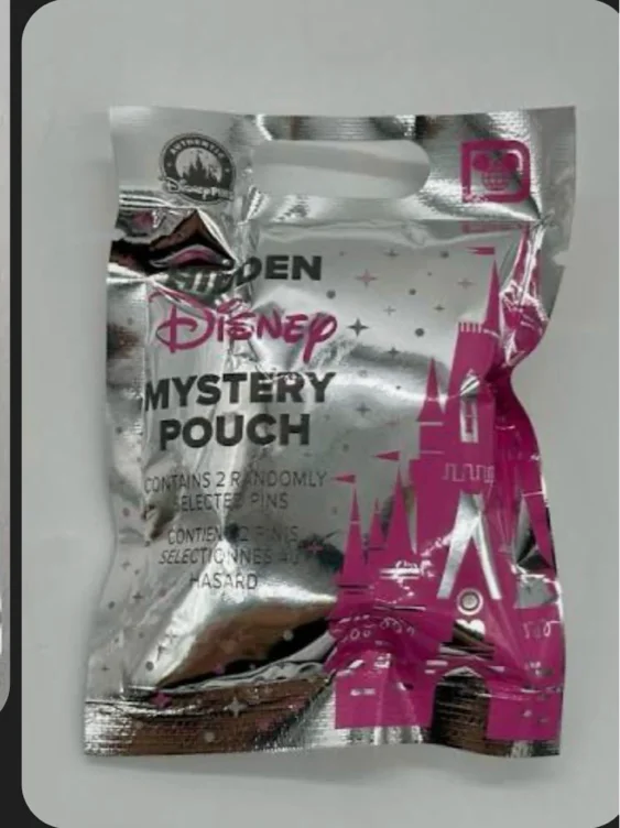Hidden Mickey bag 