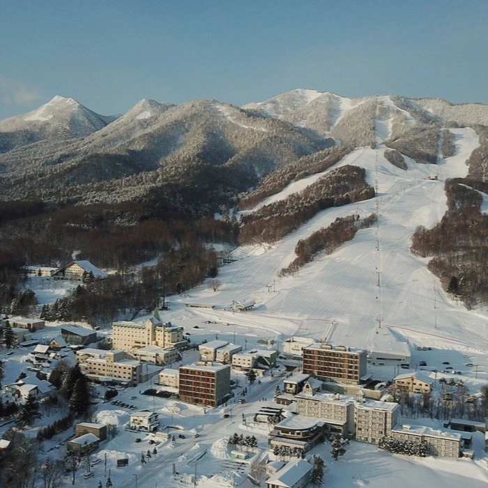 3hr powder ski lesson in Furano