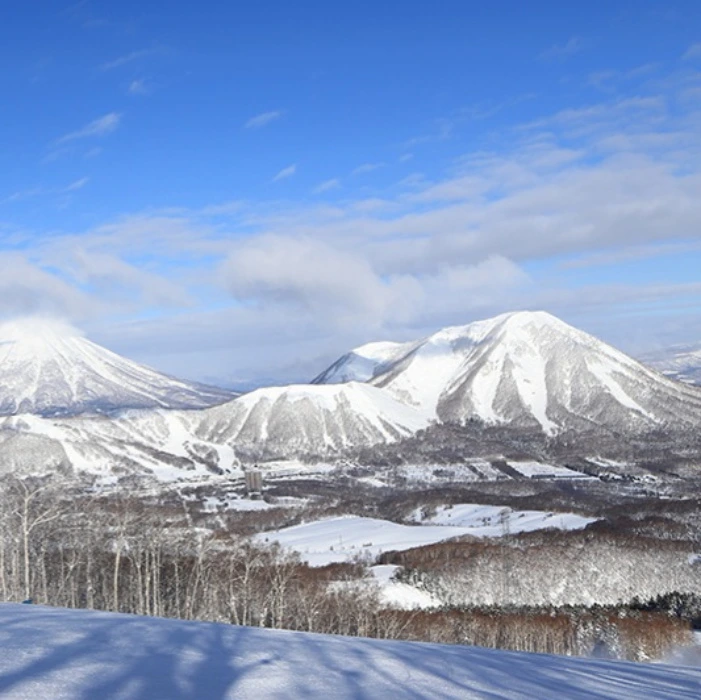 3hr powder ski lesson in Japan