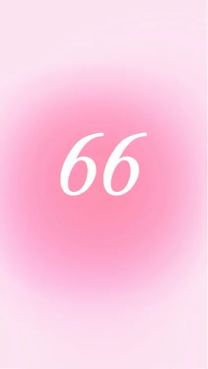 66