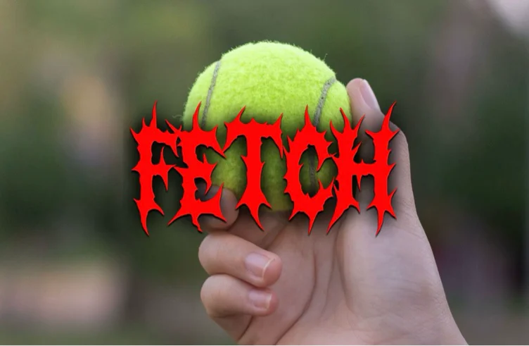 Fetch