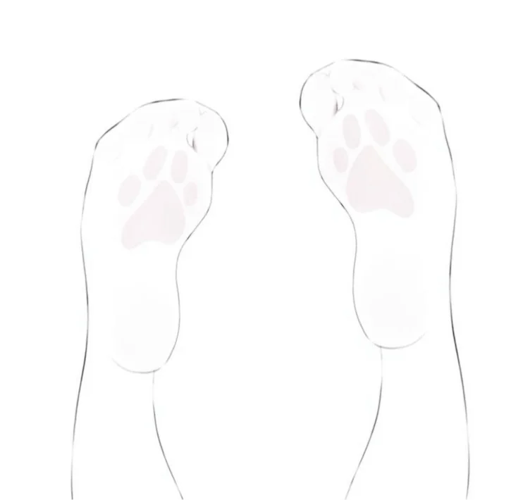 pawpics