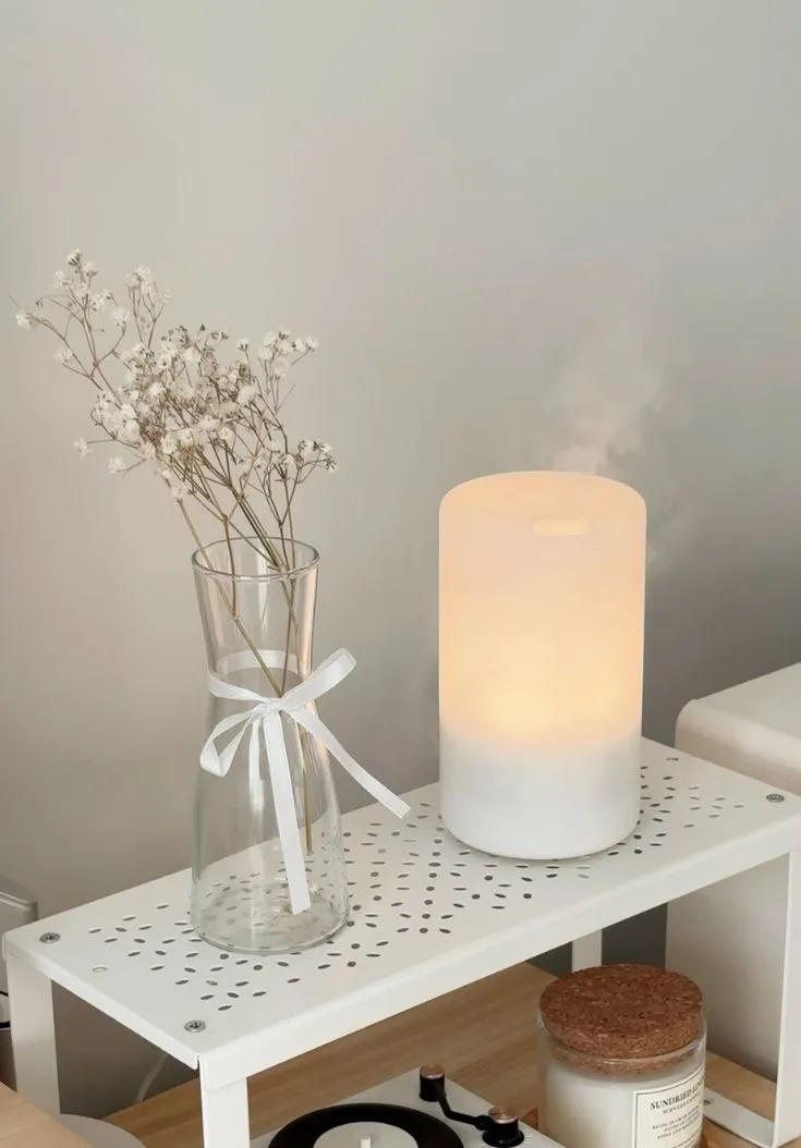 air purifier ⋆˙⟡ ♡