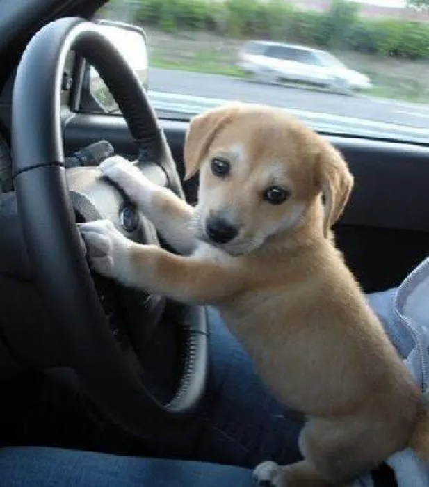 car 🚗