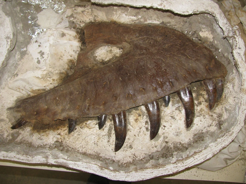 One hour of professional preparation time