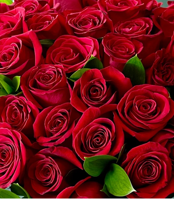 Bouquet of Red Roses