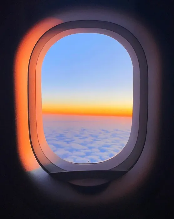 ✈️ Window Seat $15,000