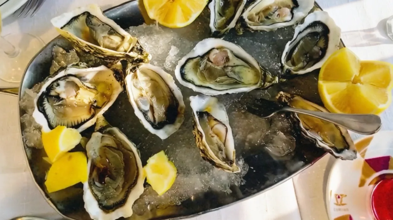 🦪 Appetizer