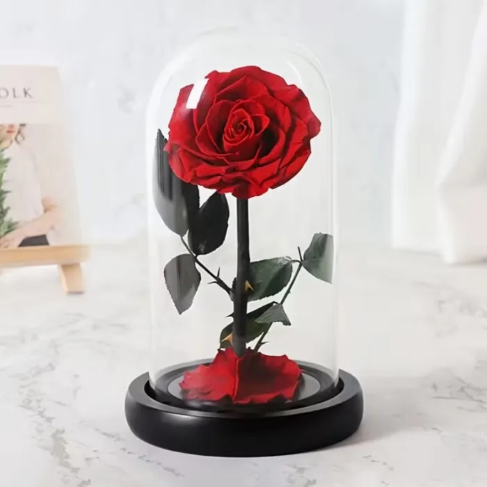 Preserved Red Rose