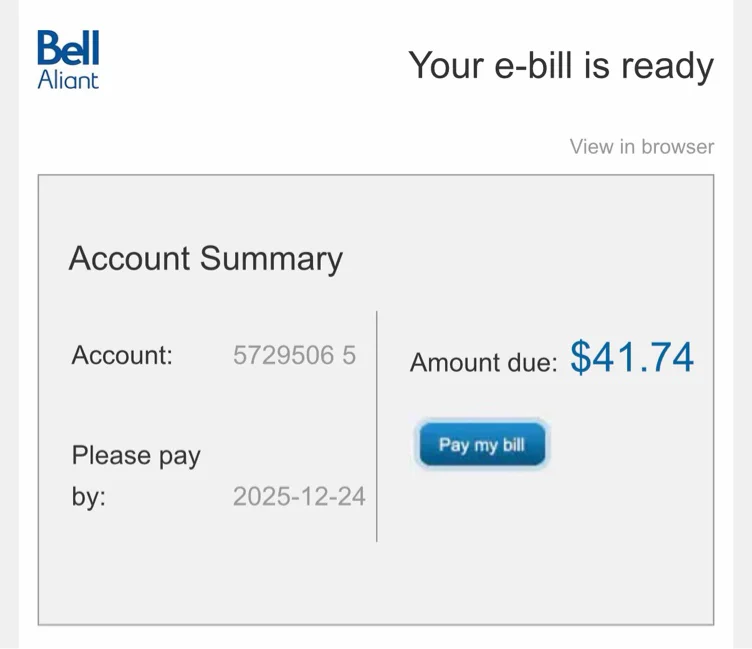 November Internet 🖤