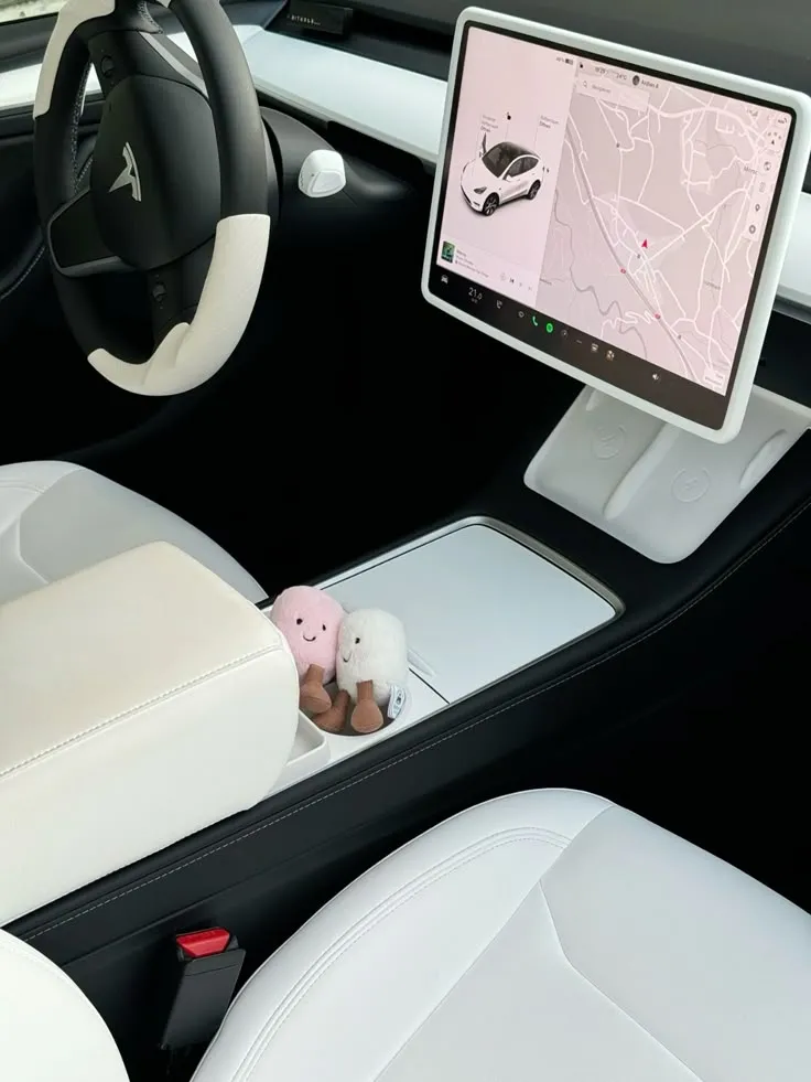 tesla self-driving monthly (100) ⊹ ࣪ ˖
