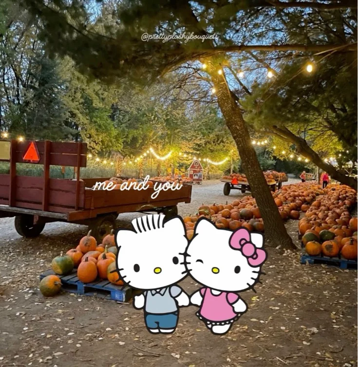 🍂 6 year anniversary 🧡
