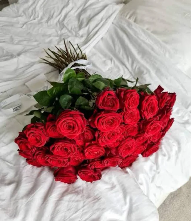 Send me roses 🌹