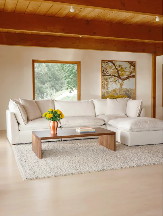New Couch From Sundays Furniture 