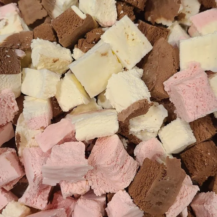 🍦 Freeze-Dried Ice Cream!🍦 