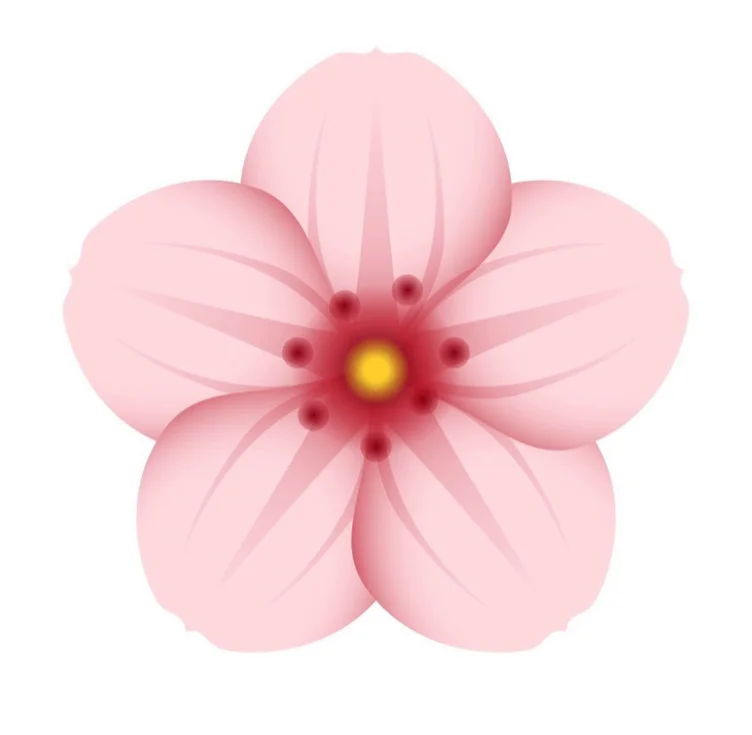 Flowers 🌸