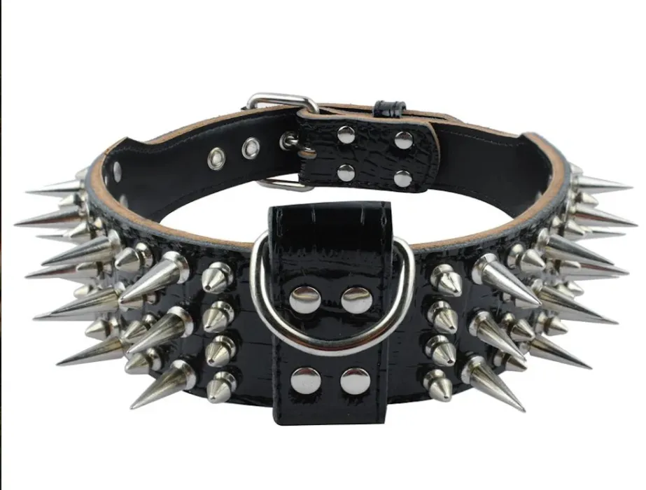 Dog Collar