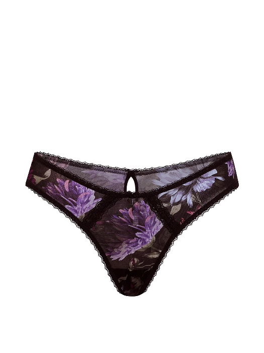 Sheer Shimmer Lace Trim Brazilian Panty