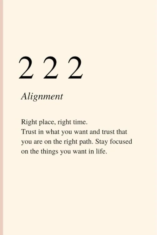 ✨222✨ - chiropractor appointment