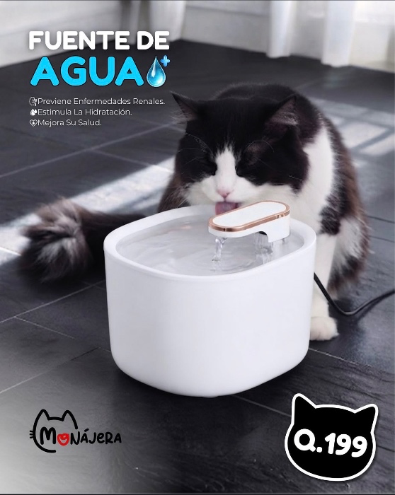 Oreo’s Water Fountain
