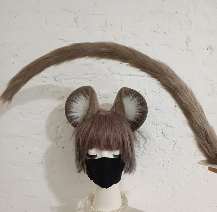 Mouse Ears and Tail :3