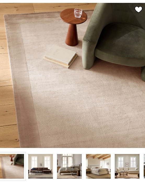 Living room rug 