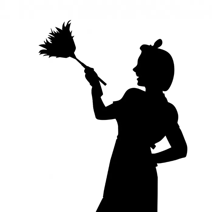 Weekly Cleaning Service