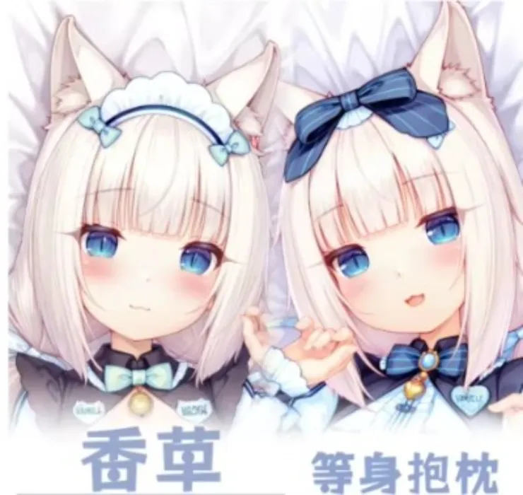 vanilla dakimakura
